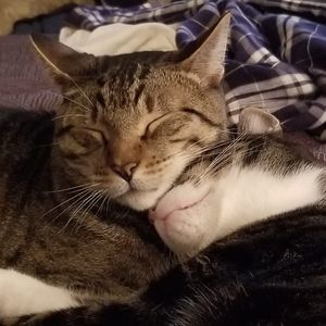 Meet your Posher, Dave